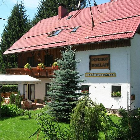 Pension Roklan Železná Ruda Zewnętrze zdjęcie